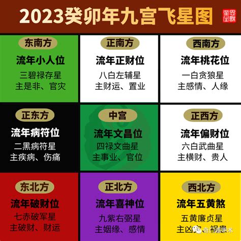 2023年飛星